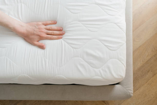 Istockphoto 1418325087 612x612