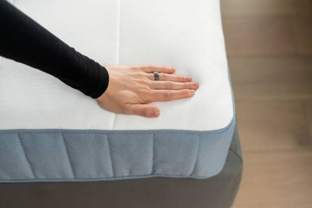 Istockphoto 1441748134 612x612